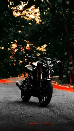 MT15 lover