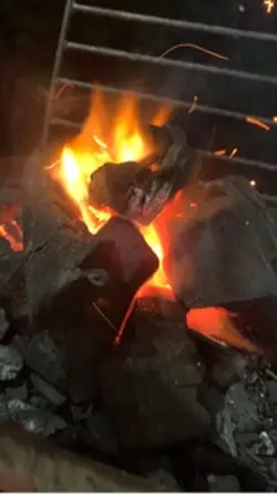 Bakar bakar ikan