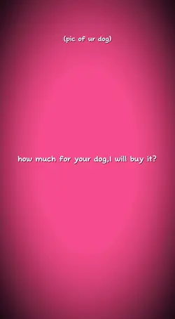 Dog Lover 
