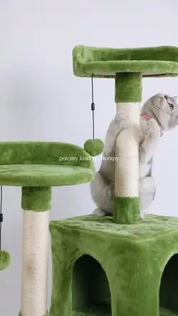 Pet Supplies