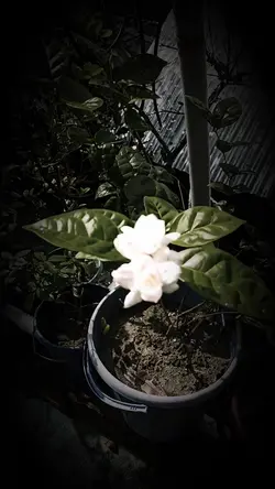 তুমি আর আমি 