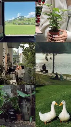 6 photo video