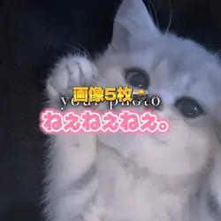 ねぇねぇねぇ。