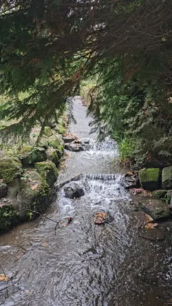 NATURE 06