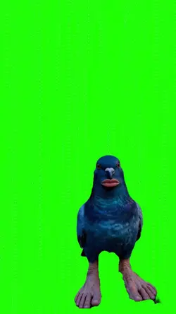 Pegiongoo