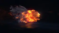 fire lion