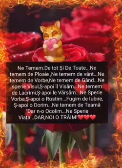 Sorina Ofelia Vinție