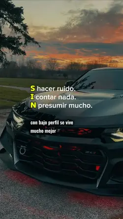 bajo perfil 