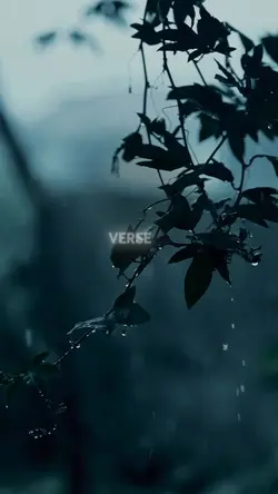 God ✝️🙏