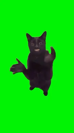 cat clapping meme