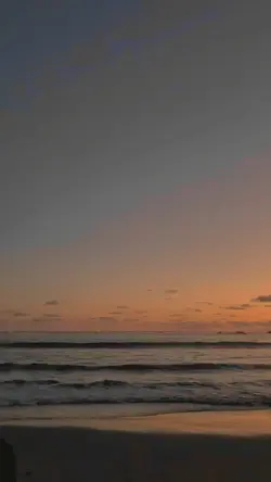 Slowmo Patience