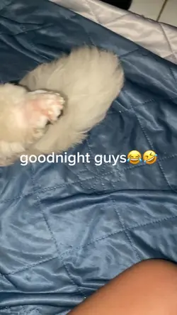 Goodnight 