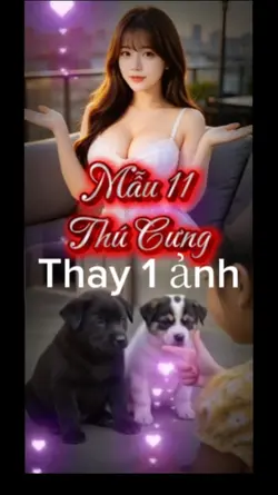 Thú cưng 11