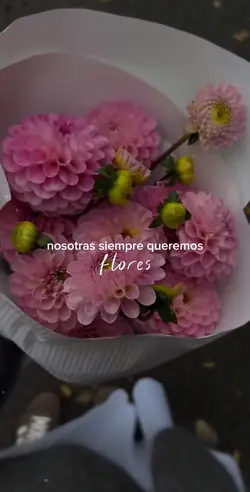 Flores