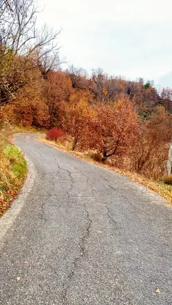 Ciclismo 