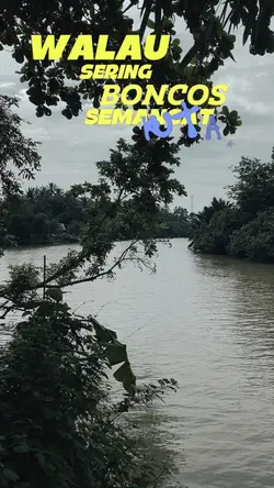Bocos mancing