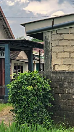 CINEMATIC 4 CLIP HD