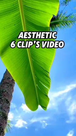 6 Video Aesthetic 
