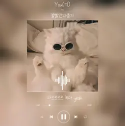 플레이리스트