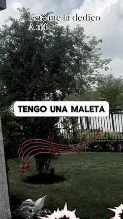 La misma maleta Dave