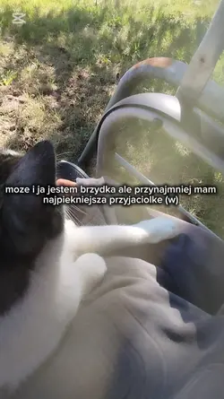 najpiekniejsza