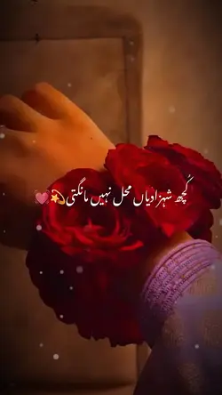 Gajry video tamplate