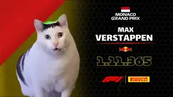 max verstappen meme
