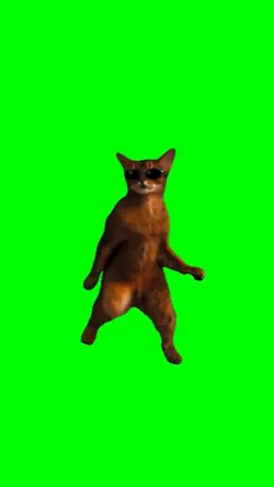 Guap dancing cat