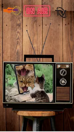 TV On Air 