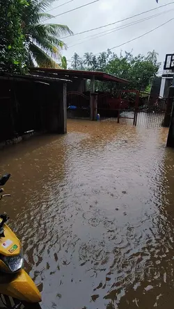Buhos ng ulan