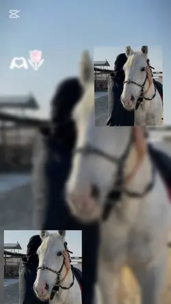 çoklu resim şablonu