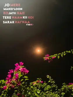 dhadak 