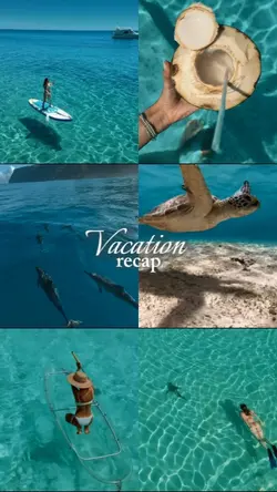 Vacation recap