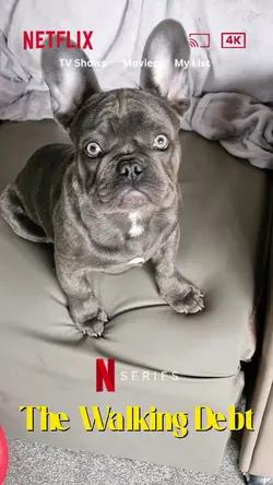 NetflixParody 