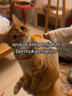 versi no mirror