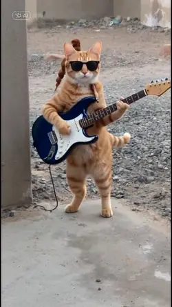 gitaris 