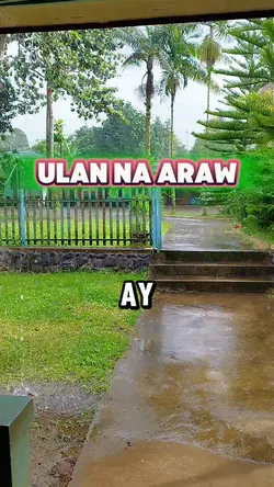 rain