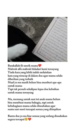 Mabruk alfa mabruk