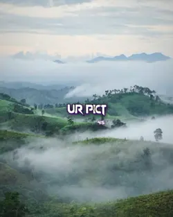 17 photos