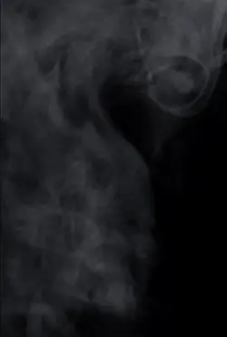 ប្រហុក ខ្ទិះ