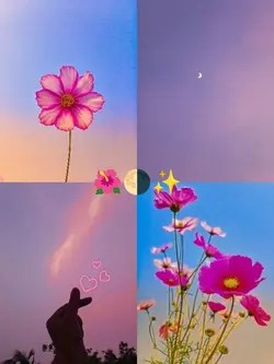 Flower collage 