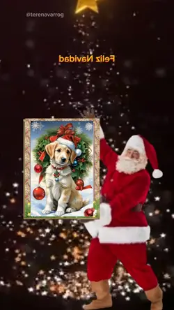 Santa Claus Navidad