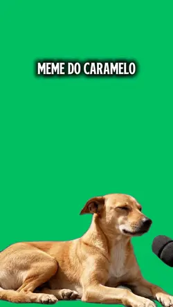 Meme Caramelo