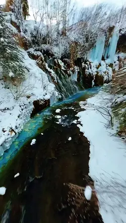 26 videos or photos 