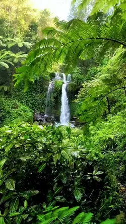 1 video estetik hd