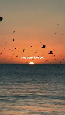 wait they don't 