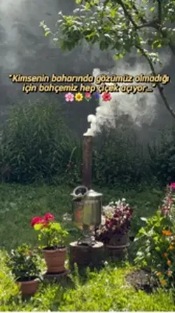 Bahar
