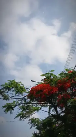 1 videos hmoob 