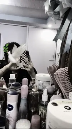 🕊️💔
