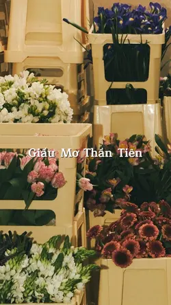 Giấu mơ thần tiên